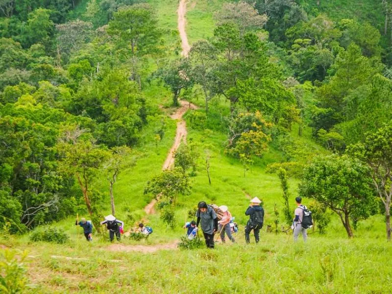 12 Địa điểm trekking cực đáng trải nghiệm của nước ta