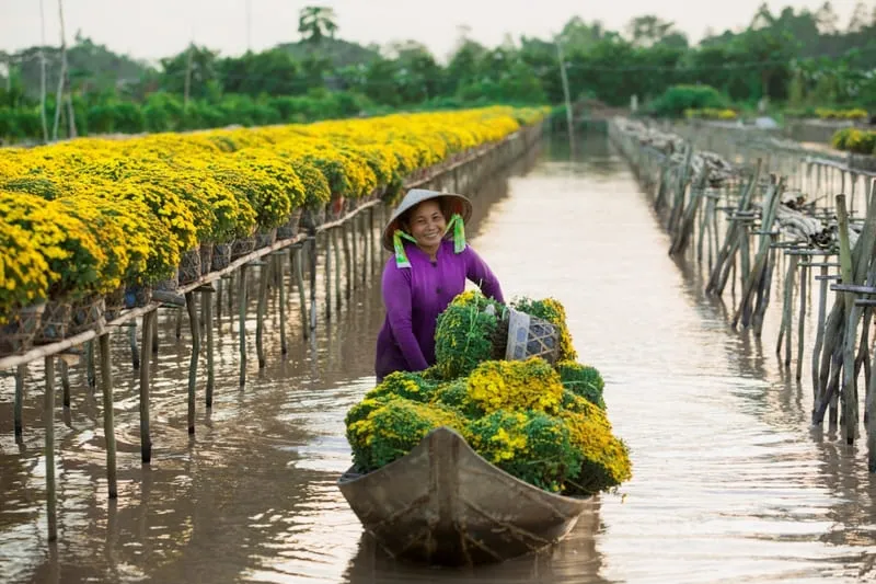 15 địa điểm du lịch Tết Nguyên Đán 2024 tuyệt vời để bắt đầu năm mới trọn vẹn