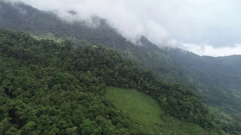 17 địa điểm du lịch Quảng Ngãi hoang sơ giữa miền Trung nắng gió