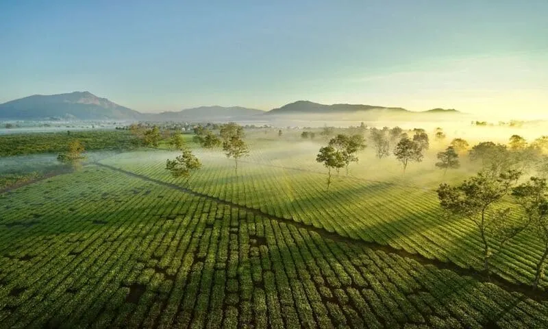 17 điểm du lịch Gia Lai đưa bạn về chốn đại ngàn thanh bình