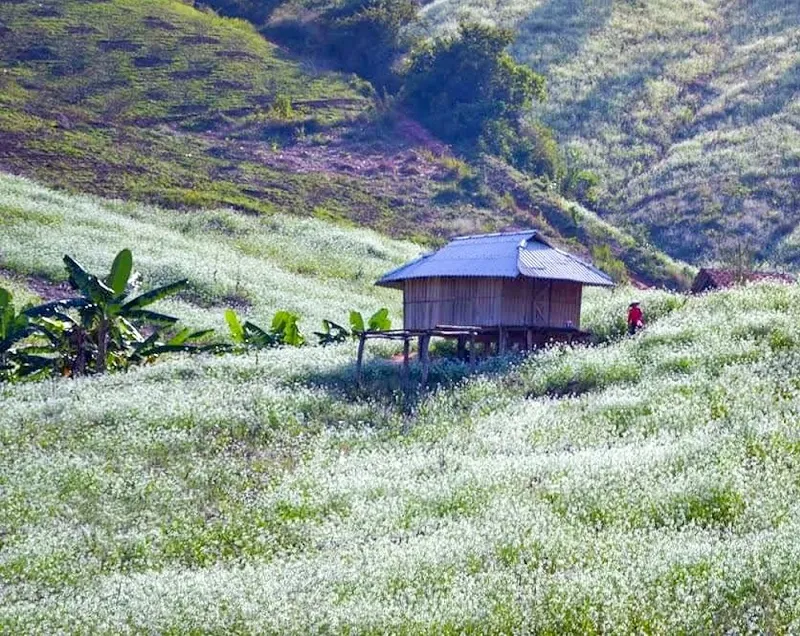 20 điểm du lịch Sơn La được yêu thích hàng đầu theo khu vực