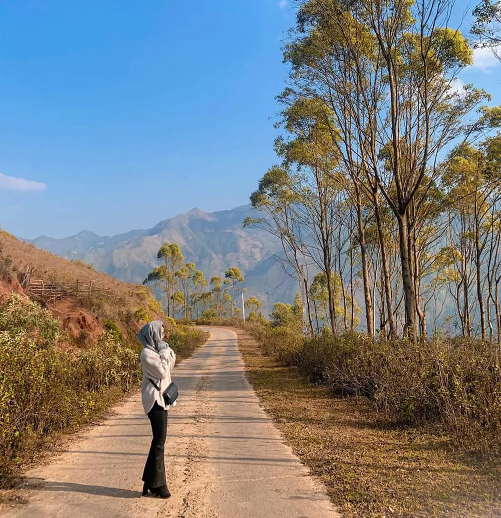 3 ngày trekking chinh phục sống lưng khủng long Tà Xùa