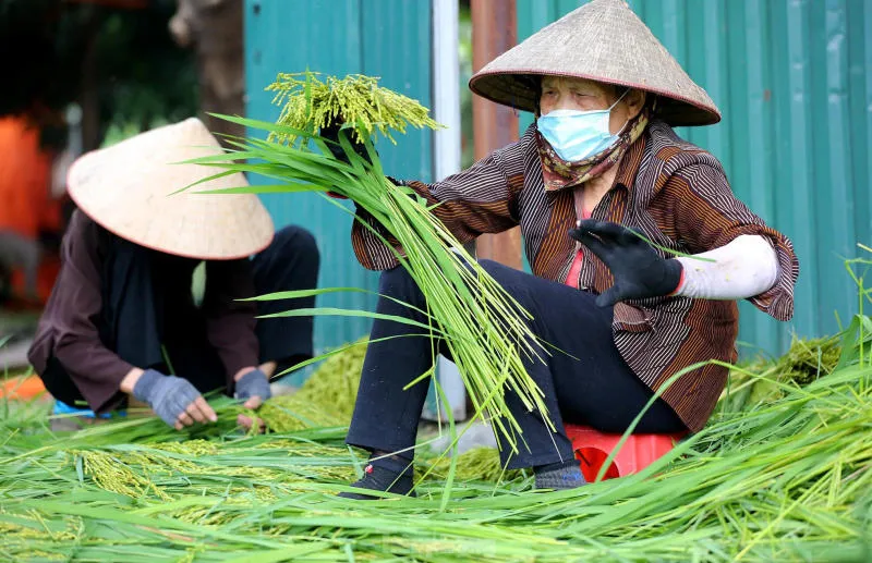 8 Làng nghề truyền thống lâu đời tại Hà thành cổ kính