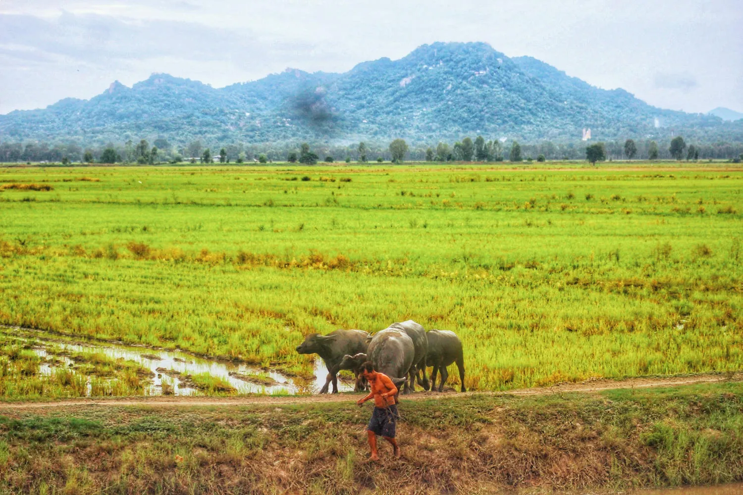 An Giang mùa nước nổi đẹp tựa bức tranh sơn thủy hữu tình