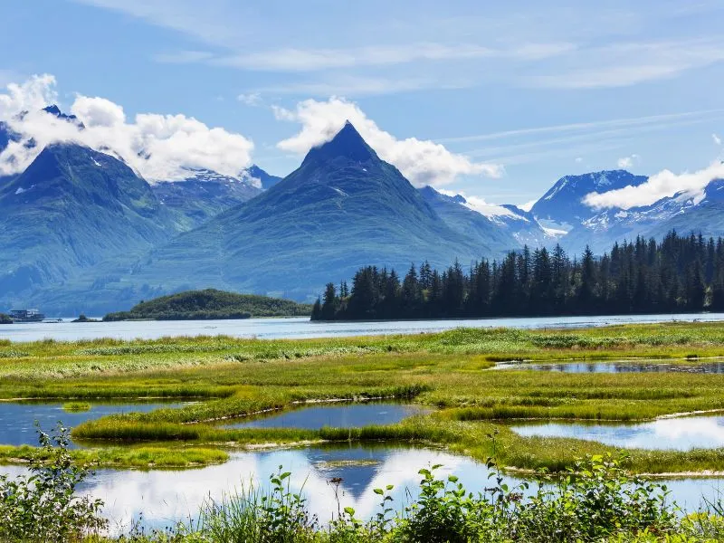 Anchorage, ghé thăm thành phố thú vị bật nhất Alaska