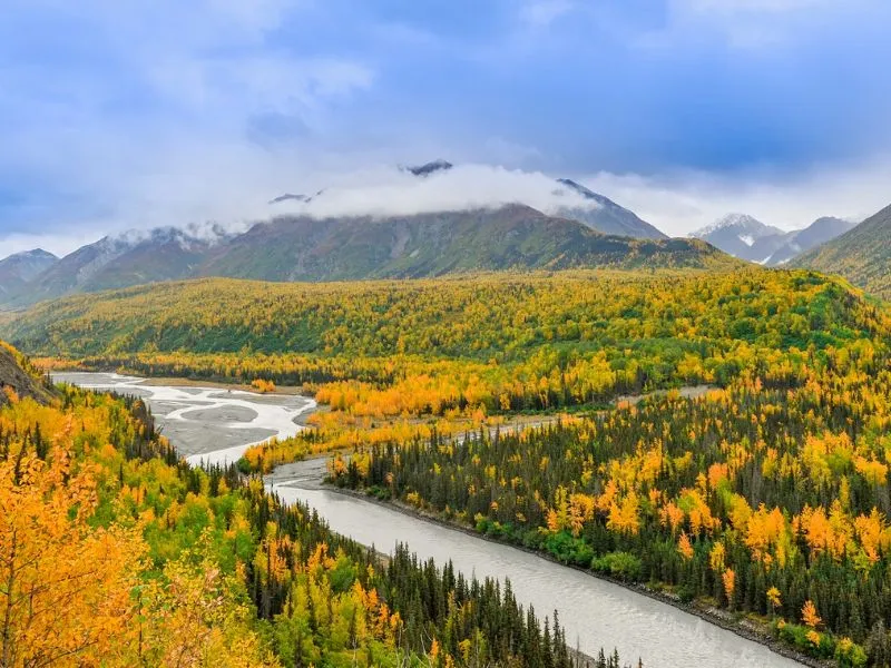 Anchorage, ghé thăm thành phố thú vị bật nhất Alaska