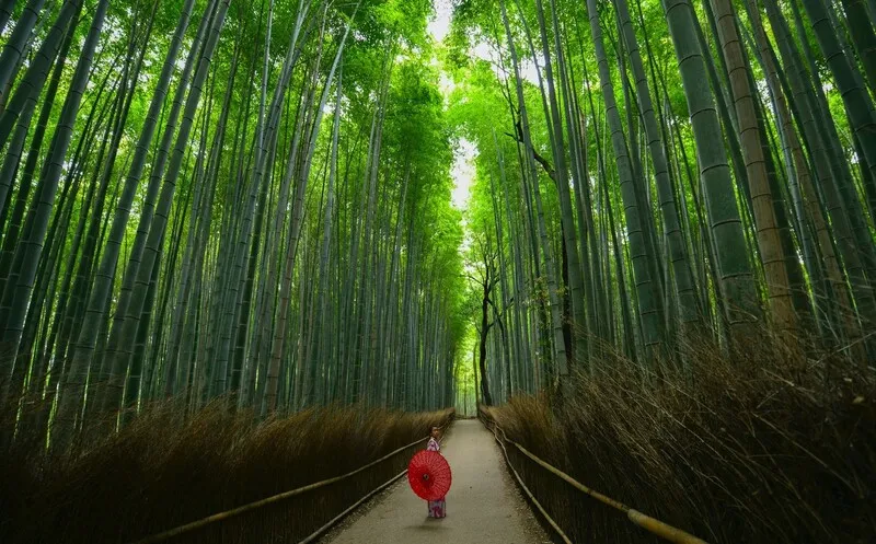 Arashiyama nơi tụ hội những viên ngọc tự nhiên tại Kyoto