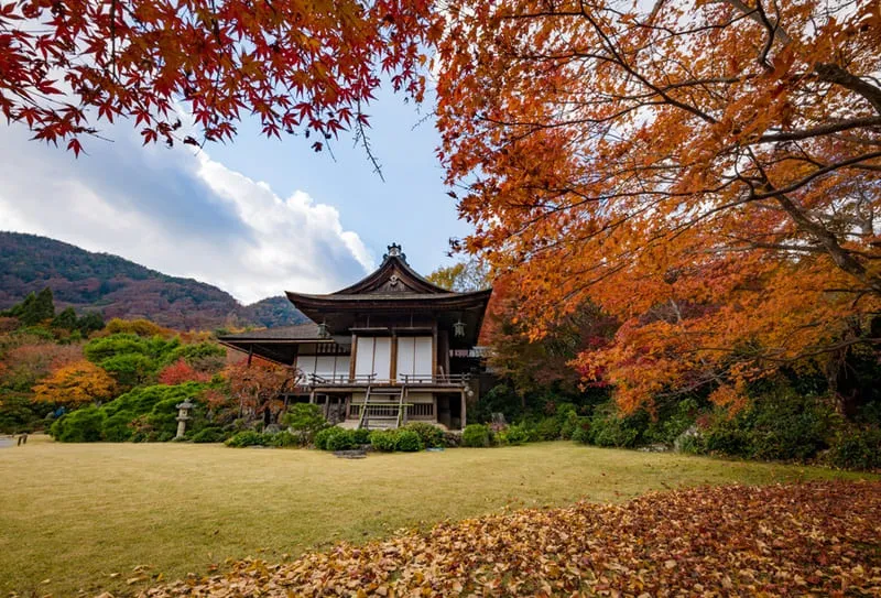 Arashiyama nơi tụ hội những viên ngọc tự nhiên tại Kyoto