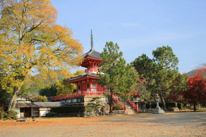 Arashiyama nơi tụ hội những viên ngọc tự nhiên tại Kyoto