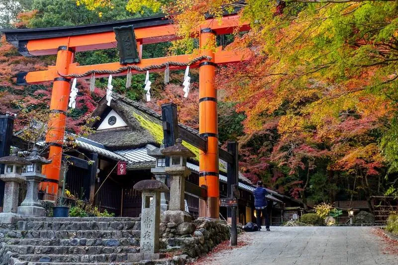 Arashiyama nơi tụ hội những viên ngọc tự nhiên tại Kyoto