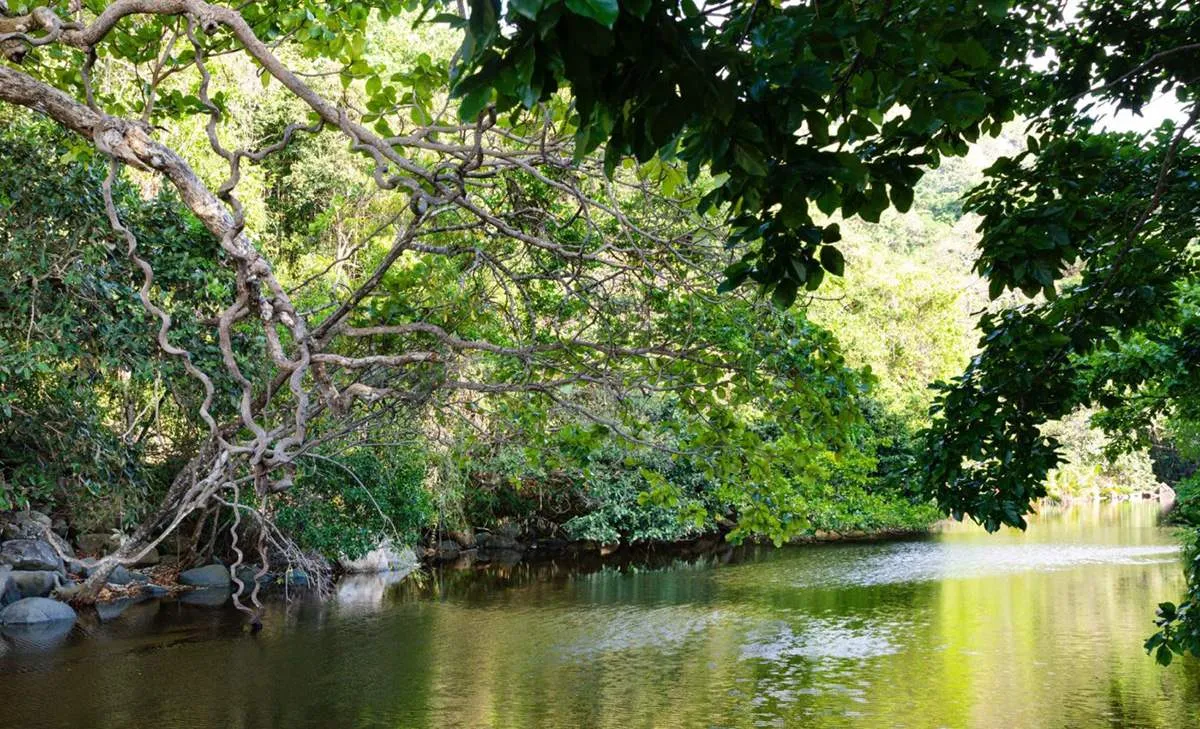 Bãi Biển Bí Ẩn (Secret Beach) Côn Đảo và bí mật chờ bạn khám phá