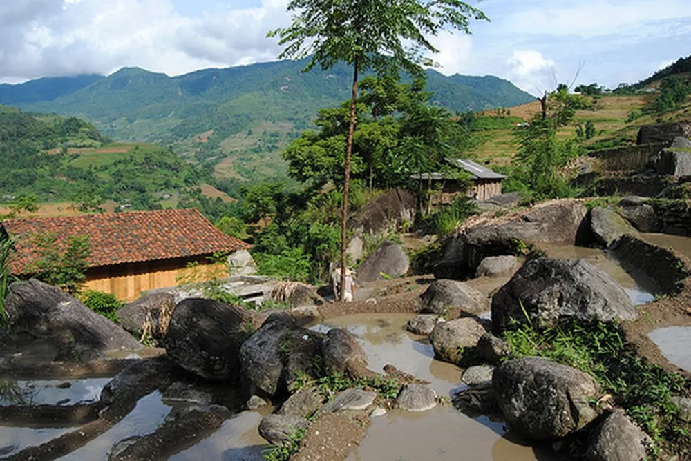 Bãi đá cổ Nấm Dẩn – Hà Giang và những giá trị lịch sử lâu đời