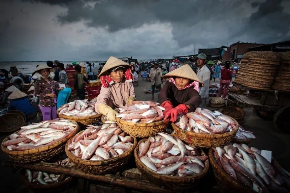 Bài viết này dành cho bạn nào đi đèo Nước Ngọt Vũng Tàu tự túc