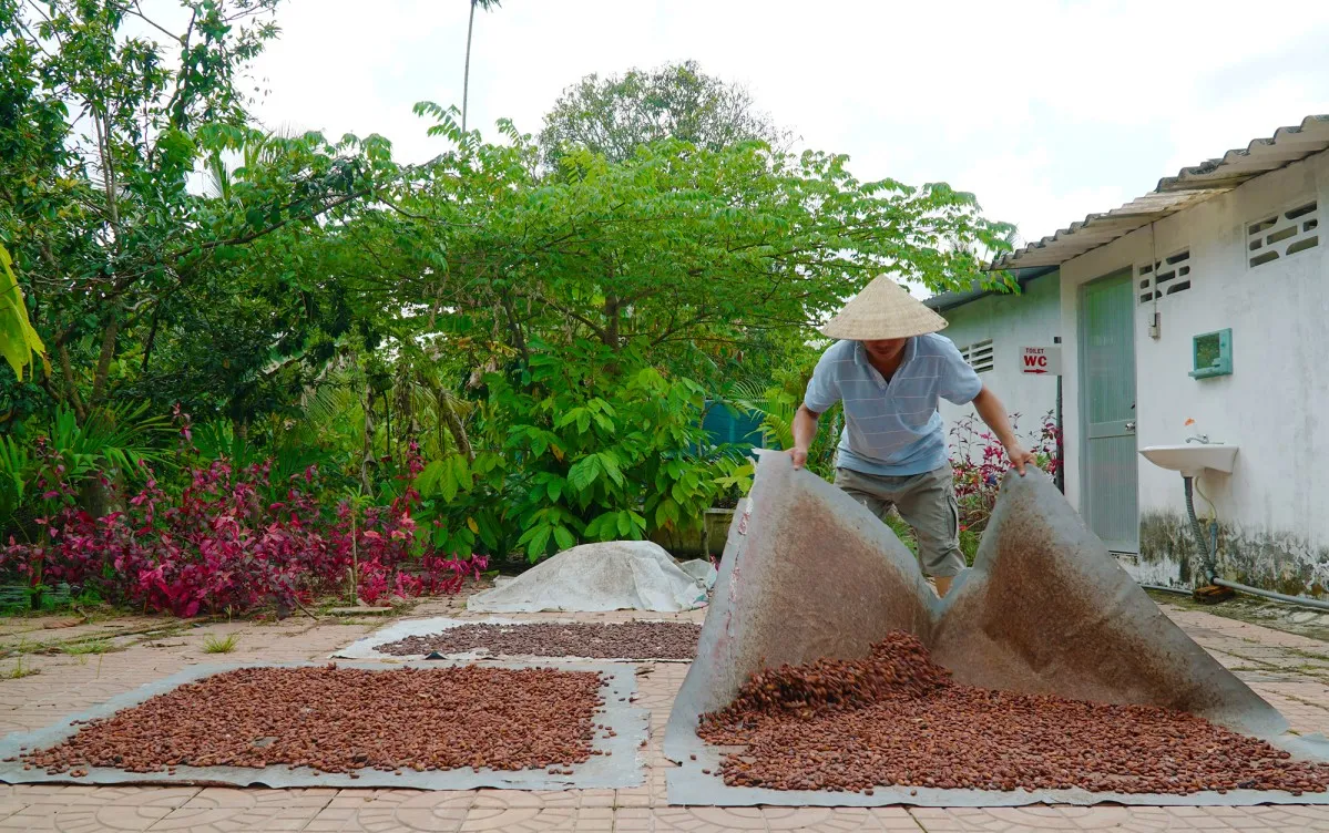 Bạn đã thử chưa Cacao Mười Cương thơm ngon chỉ có tại Tây Đô?