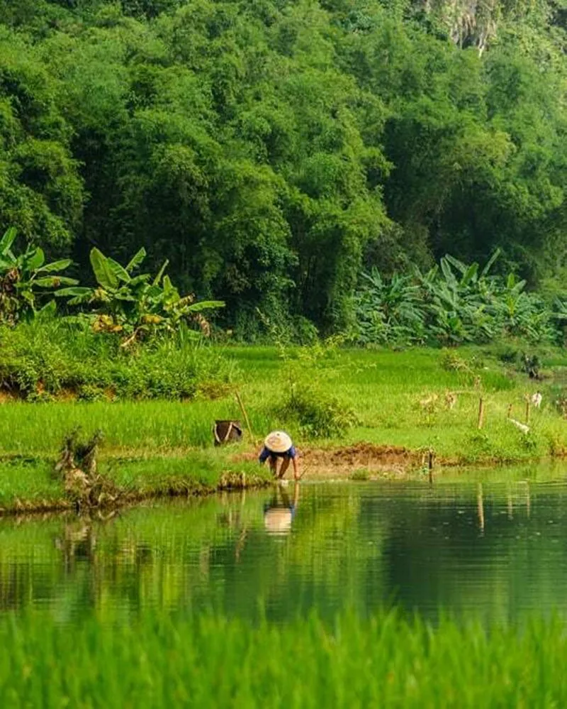 Bản Lác Mai Châu với vẻ đẹp bất tận thu hút bao người