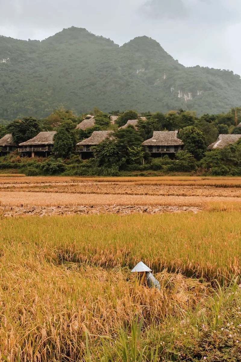 Bản Lác Mai Châu với vẻ đẹp bất tận thu hút bao người