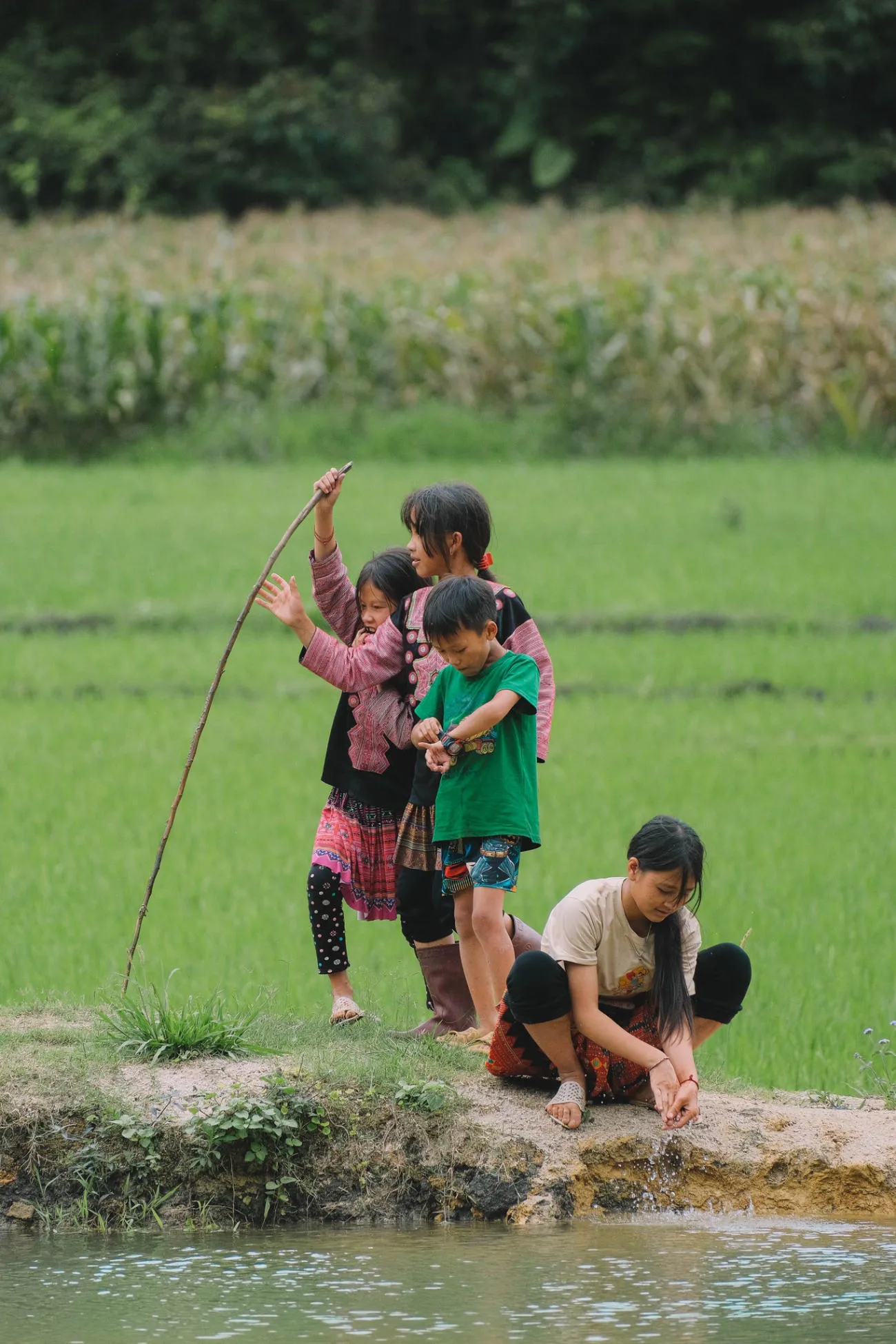 Bản làng Mộc Châu bình yên trong nắng sớm trên vùng cao