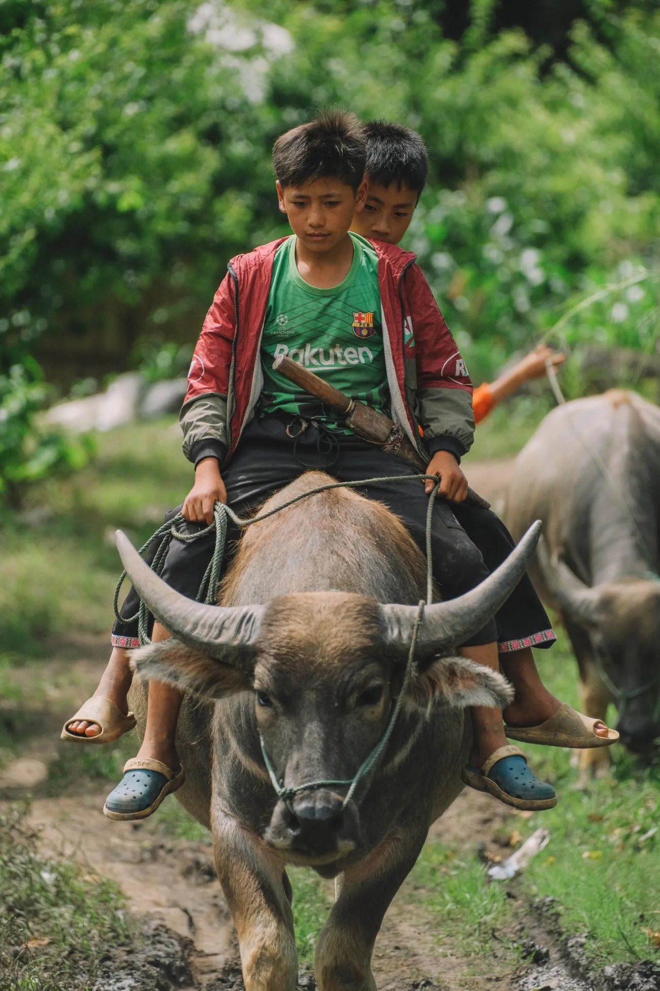 Bản làng Mộc Châu bình yên trong nắng sớm trên vùng cao