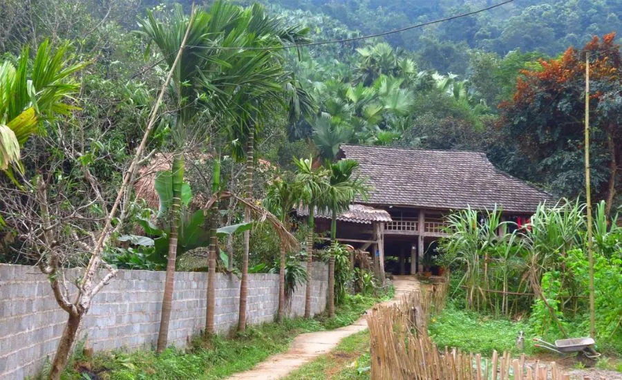 Bản Tùy homestay Hà Giang, mái nhà đầm ấm giữa núi rừng Tây Bắc