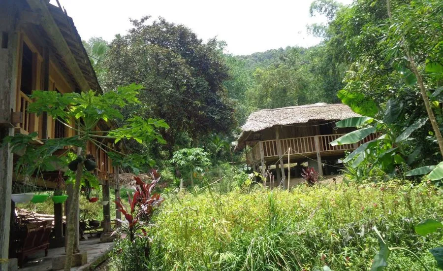 Bản Tùy homestay Hà Giang, mái nhà đầm ấm giữa núi rừng Tây Bắc