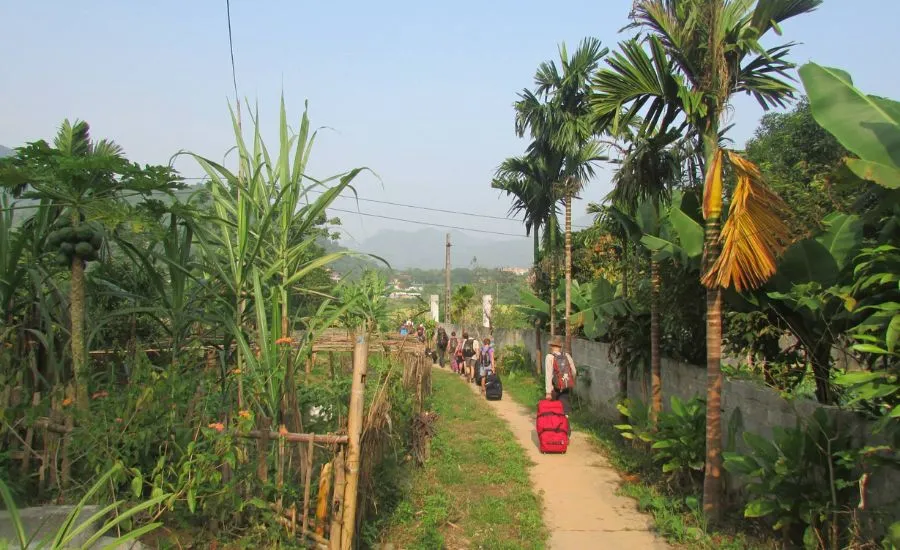 Bản Tùy homestay Hà Giang, mái nhà đầm ấm giữa núi rừng Tây Bắc