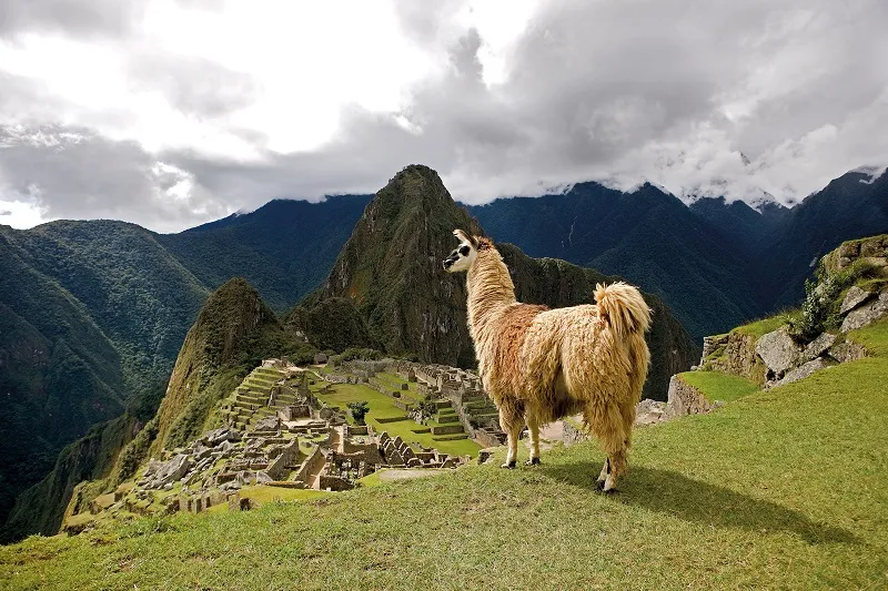 Bí ẩn Machu Picchu, thành phố đã mất của người Inca