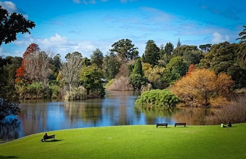 Bỏ túi 10 địa điểm du lịch Sydney phải đi một lần trong đời