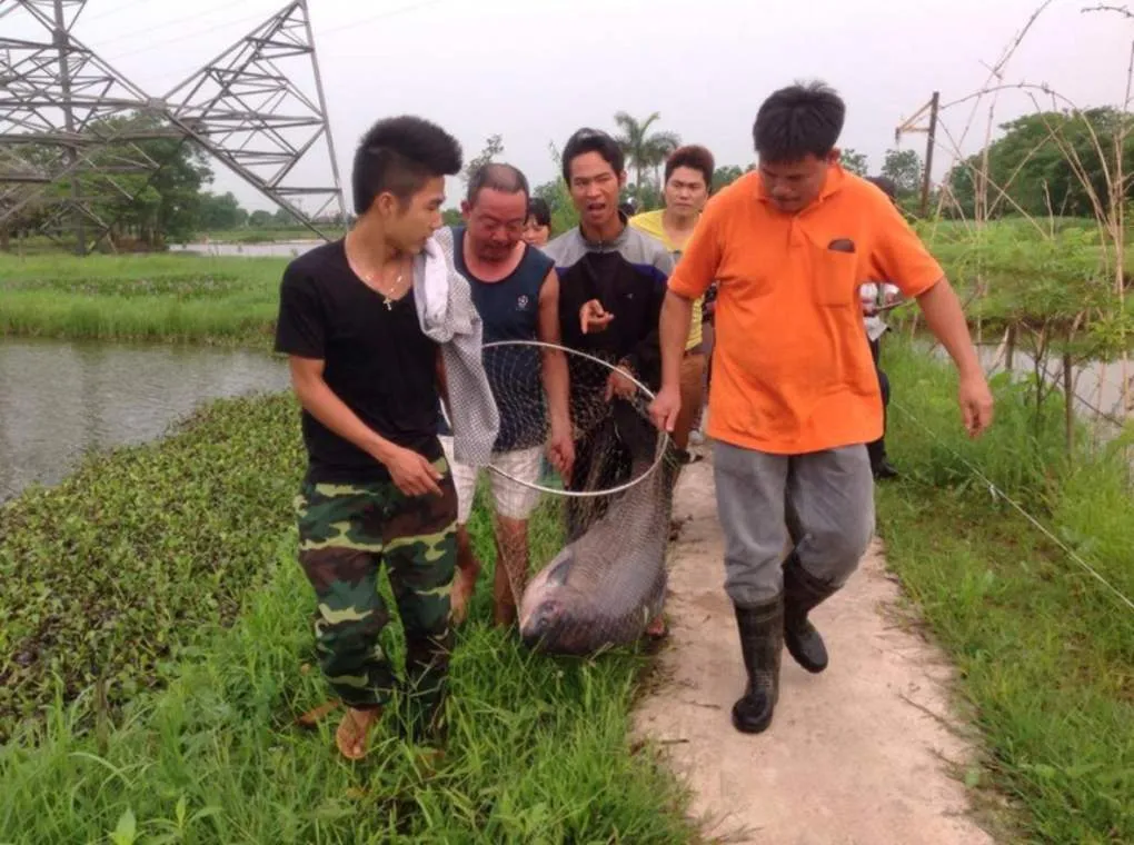 Bỏ túi kinh nghiệm câu cá tự nhiên ở Hà Nội cùng MIA.vn