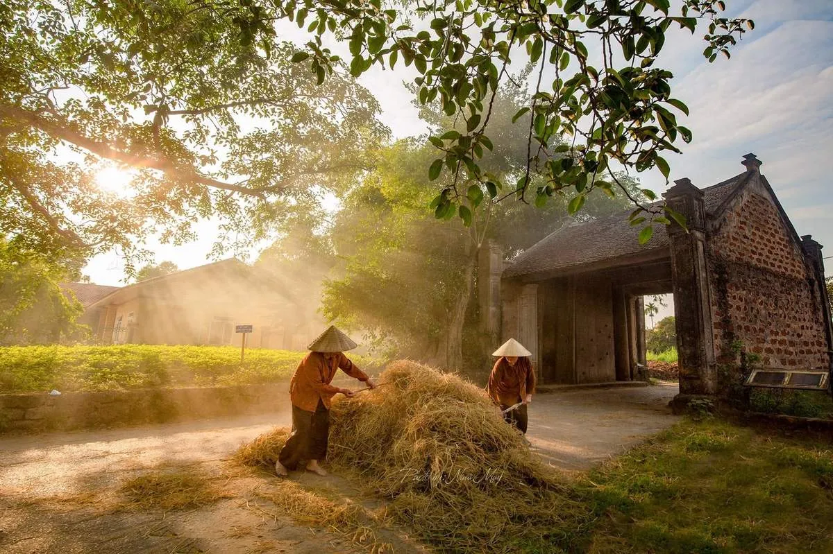 Bỏ túi kinh nghiệm du lịch Làng Cổ Đường Lâm chi tiết nhất