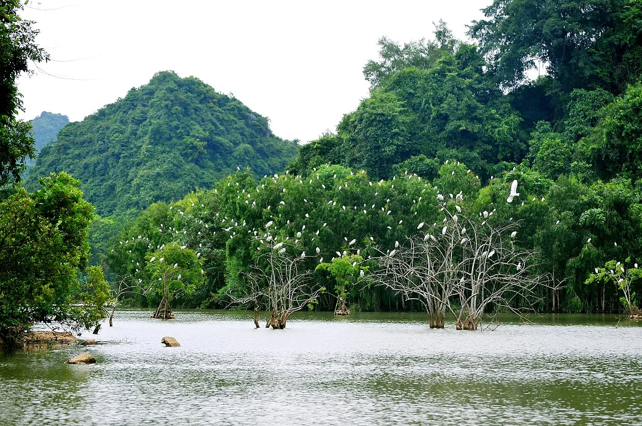 Bỏ túi lịch trình du lịch Ninh Bình 4 ngày 3 đêm cực chi tiết