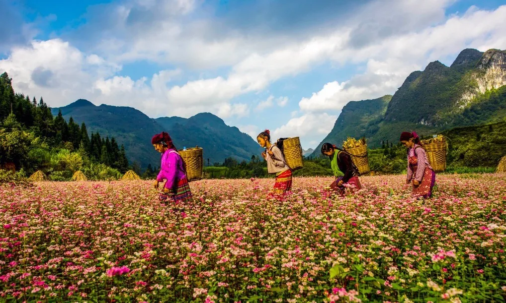 Bỏ túi lịch trình Hà Giang tự túc 2N1Đ giá rẻ cực chi tiết