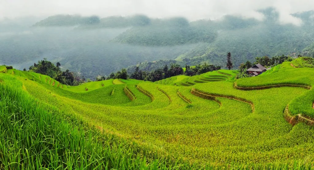 Bỏ túi ngay Lịch trình khám phá Khuổi My mùa lúa chín