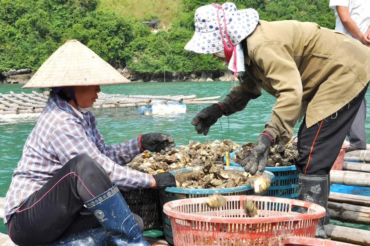 Bỏ túi ngay những kinh nghiệm khám phá đảo Long Sơn Vũng Tàu ít người biết