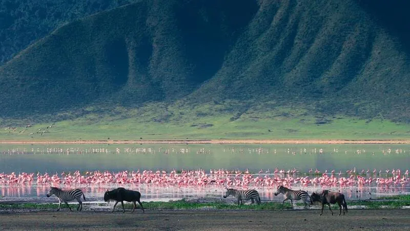 Bức tranh du lịch Tanzania với màu sắc huy hoàng