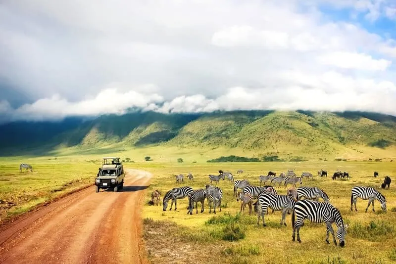 Bức tranh du lịch Tanzania với màu sắc huy hoàng