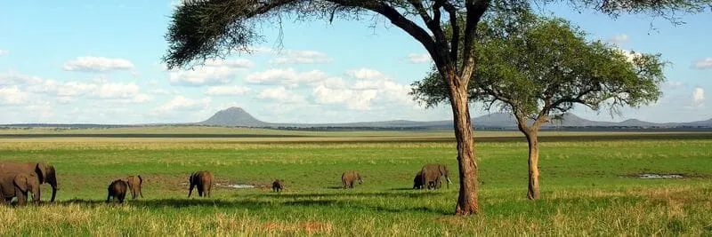 Bức tranh du lịch Tanzania với màu sắc huy hoàng