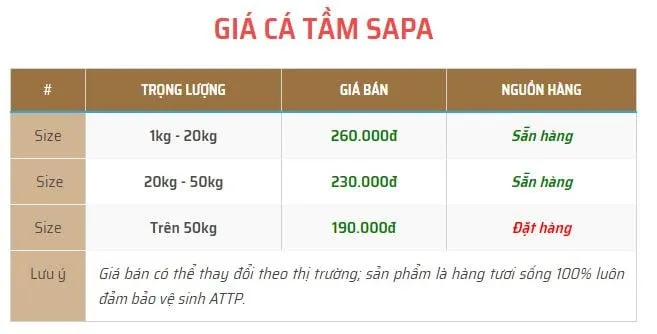 Cá tầm Sapa và 8 điều cần biết về thương phẩm cao cấp này