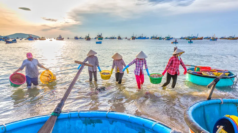 Cẩm nang chinh phục Hòn Rơm từ A đến Z