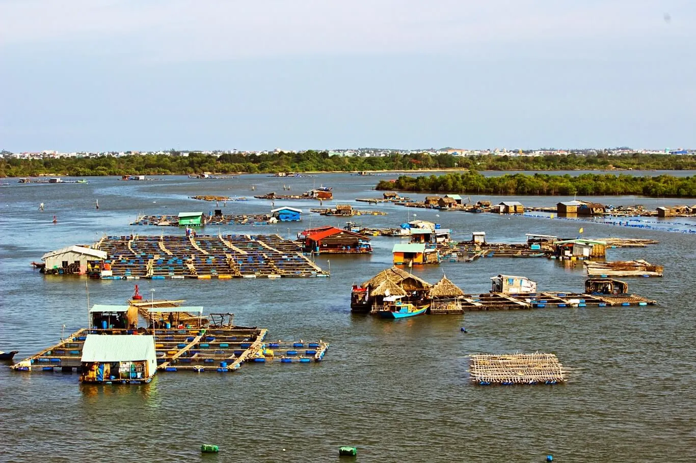 Cảm nhận vị thơm ngon béo ngậy tự nhiên từ món hàu đút lò Vũng Tàu