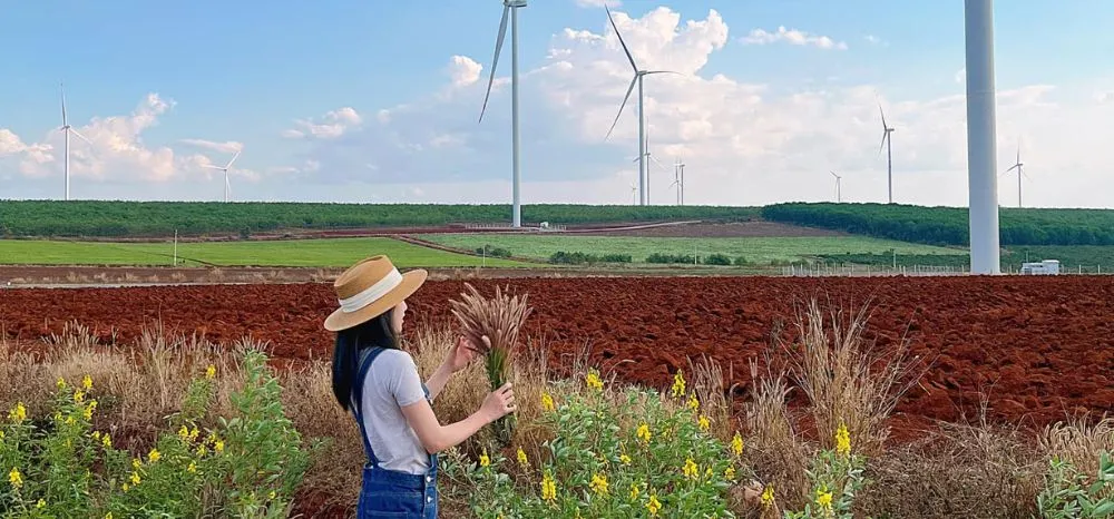 Cánh đồng điện gió Đắk Đoa, vẻ đẹp mộng mơ như tranh vẽ