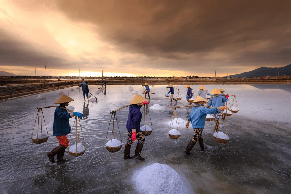 Cánh đồng muối Đầm Vua, ‘cánh đồng tuyết trắng’ giữa trời Ninh Thuận