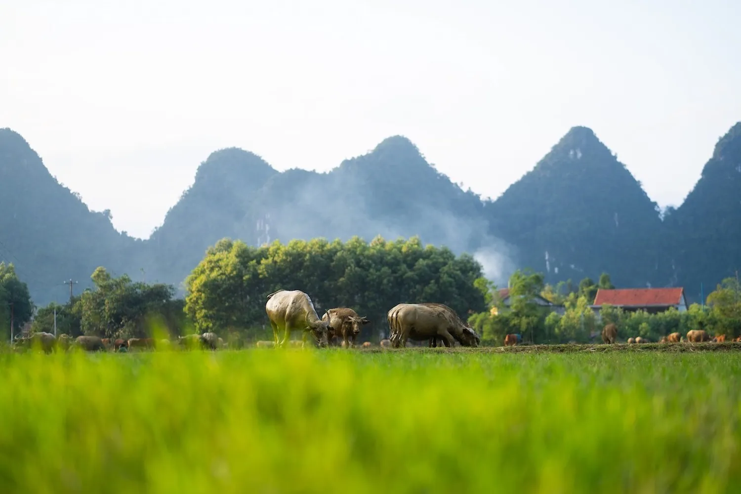 Cảnh hoàng hôn mùa đông Tân Hoá Quảng Bình khiến lòng ta không ngừng thổn thức