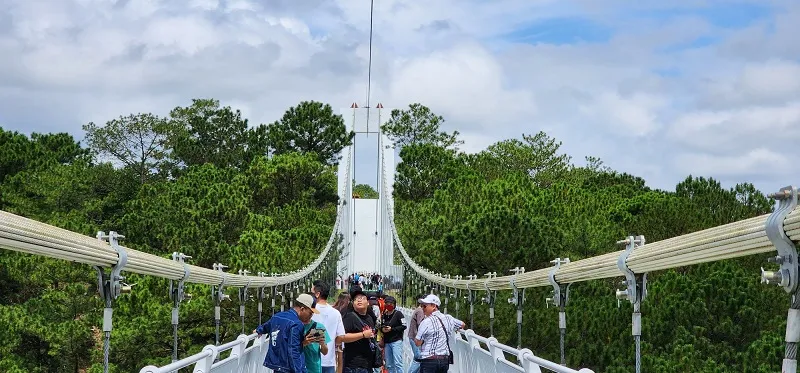 Cầu đáy kính Đà Lạt, góc mới chiêm ngưỡng thung lũng từ trên cao