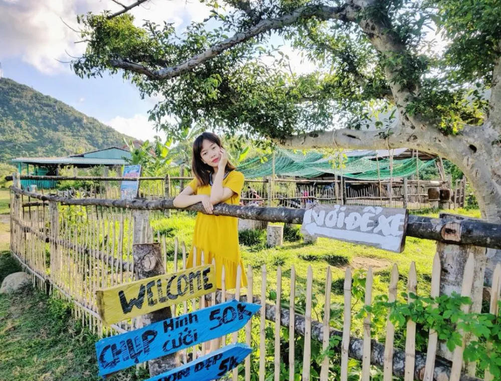 Cây sung 100 tuổi ở Phú Yên – Tọa độ sống ảo đẹp thần sầu tại xứ Nẫu