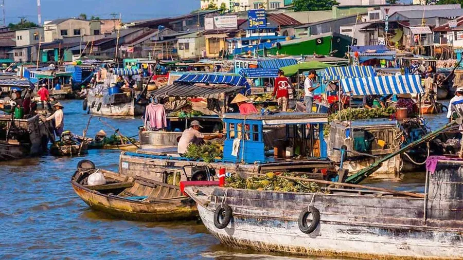 Check-in Cà Mau cùng loạt ảnh ấn tượng, đúng chất Tây Nam Bộ