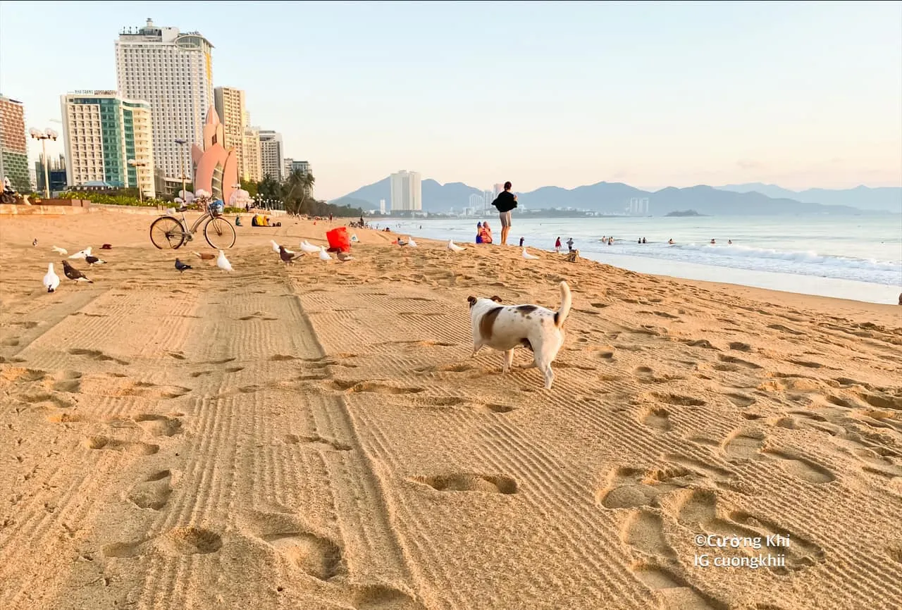 Check-in Nha Trang bình yên vào lúc sáng sớm qua lăng kính của blogger Cường Khỉ