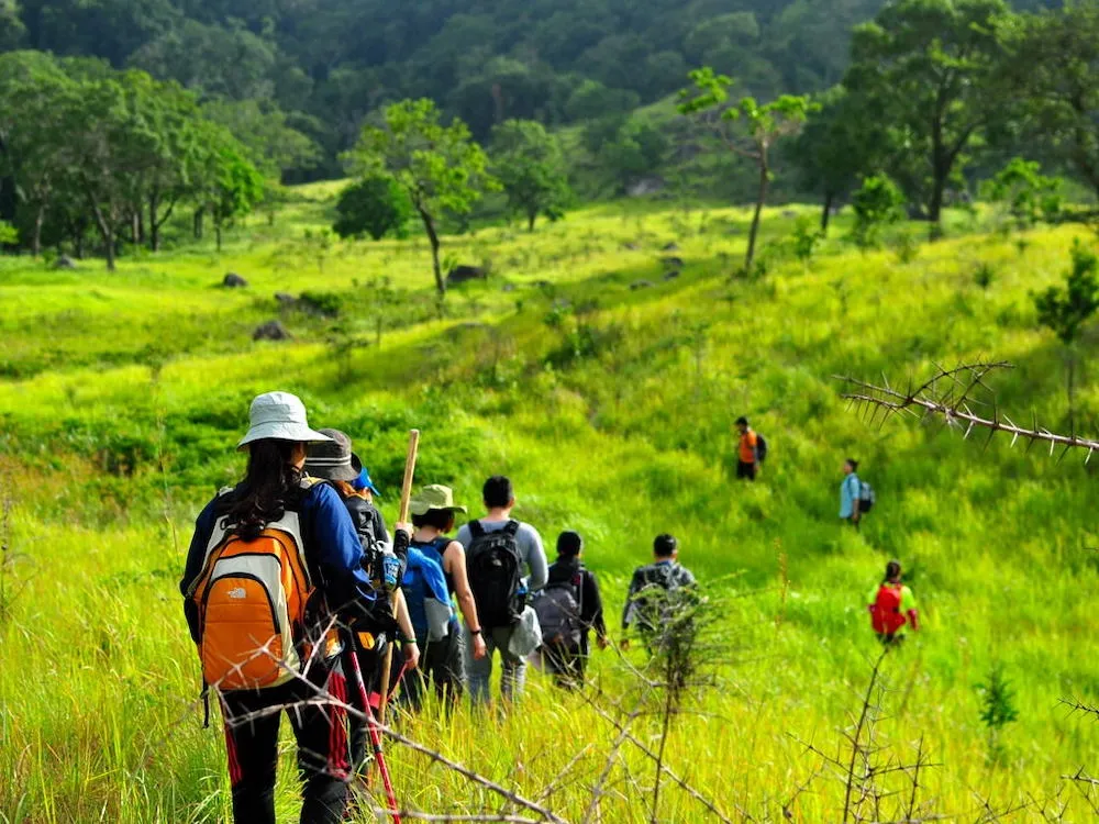 Chia sẻ kinh nghiệm trekking Núi Chúa cho hội mê xê dịch