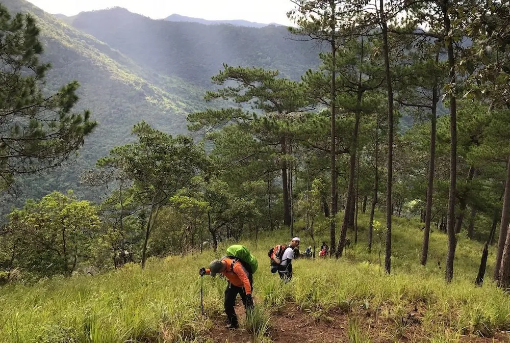 Chia sẻ kinh nghiệm trekking Núi Chúa cho hội mê xê dịch