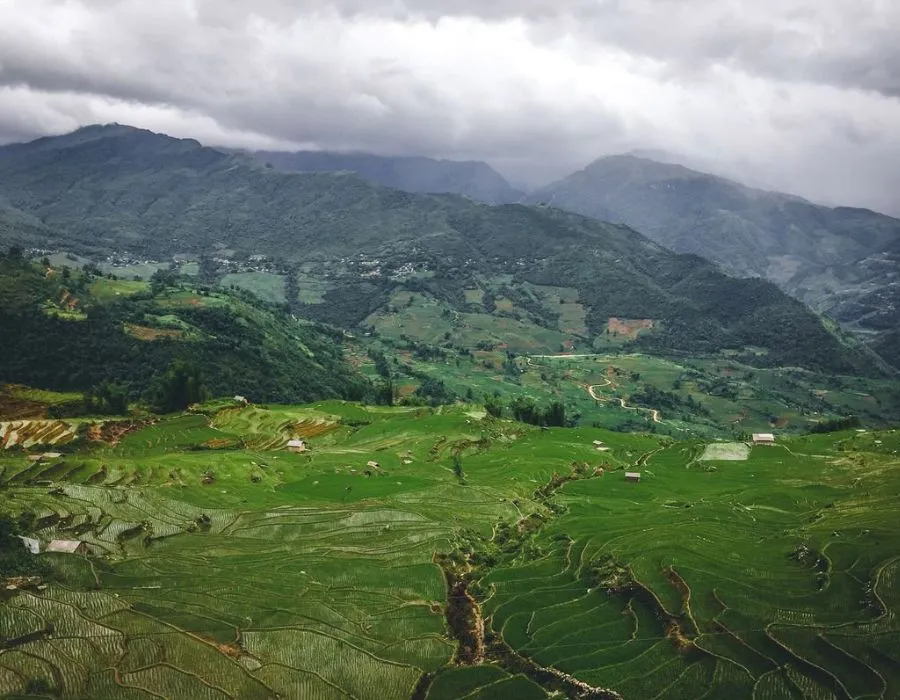 Chiêm ngưỡng Làng Ngải Thầu Sapa chìm đắm trong sương mây