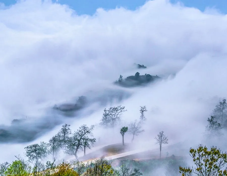 Chiêm ngưỡng Làng Ngải Thầu Sapa chìm đắm trong sương mây